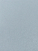 Boone 11904 Faux Leather Barrow Fabric